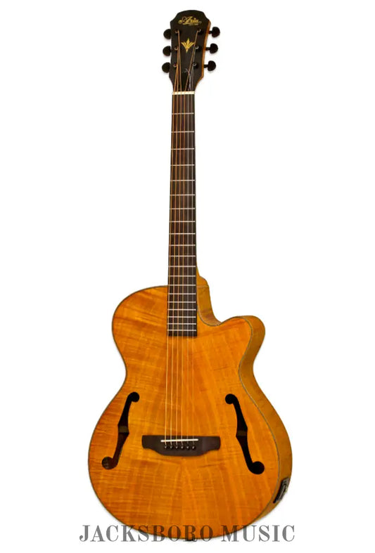 Aria FET-F2 Electro-Acoustic Series