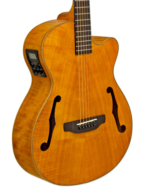 Aria FET-F2 Electro-Acoustic Series