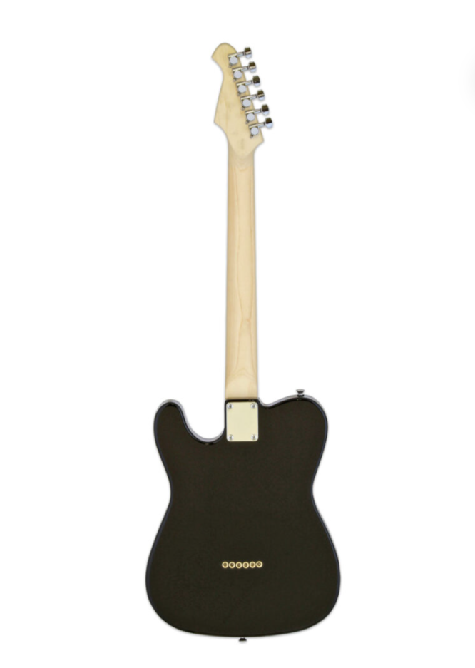 Aria Pro II TEG-002