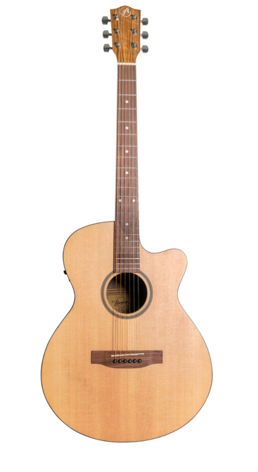 Bamboo Spruce Stage Acoustic Guitar w/EQ