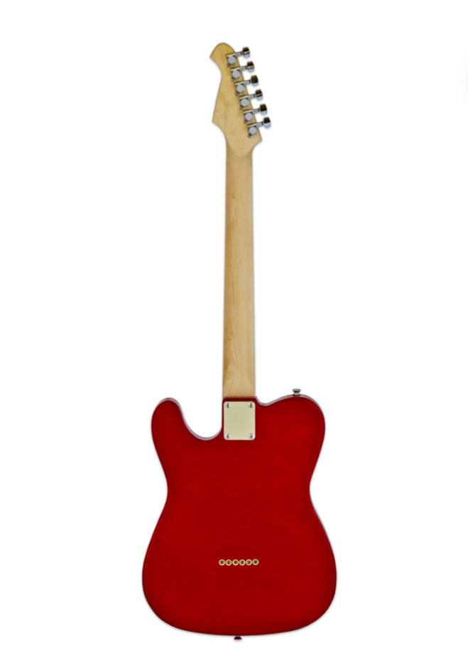 Aria Pro II TEG-002